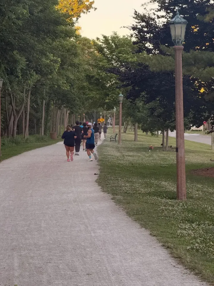 Runners spread out along a tree-lined path